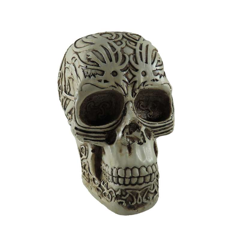 مجسمه مدل جمجمه کد 01