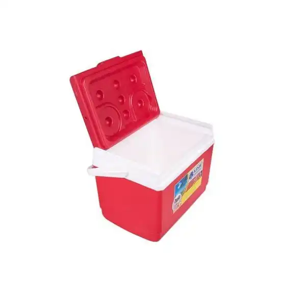 یخدان سفری مدل A505 ظرفیت 5.5 لیتر به همراه یخ خشک