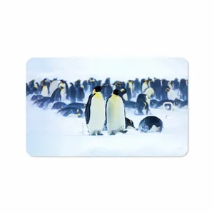 MAHOOT Penguin Cover Sticker for Samsung Galaxy Tab A 10.1 2016 T580