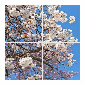 تایل سقفی آسمان مجازی مدل SK-454 سایز 60x60 سانتیمتر بسته 4 عددی