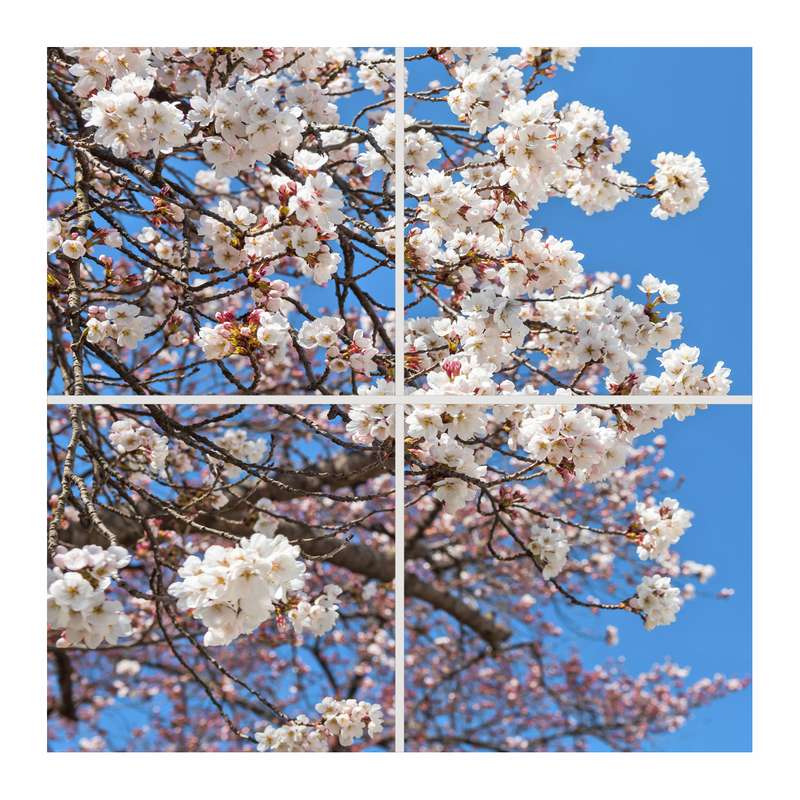 تایل سقفی آسمان مجازی مدل SK-454 سایز 60x60 سانتیمتر بسته 4 عددی