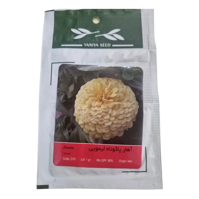 بذر گل آهار پاکوتاه لیمویی وانیا سید مدل BA1493