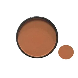 رژ گونه هانتین شماره 704