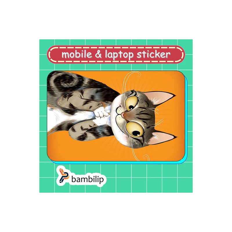 استیکر بامبیلیپ مدل کارت عابر طرح گربه زیرک کد 9911682