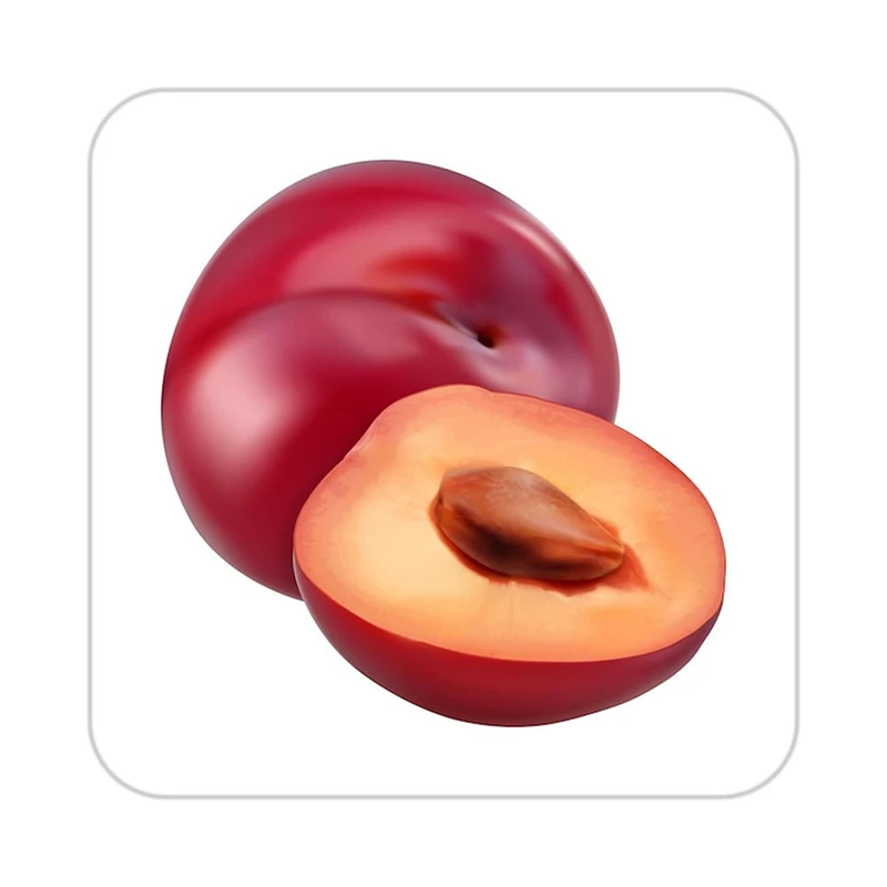 زیر لیوانی کاکتی طرح میوه مدل mp19830