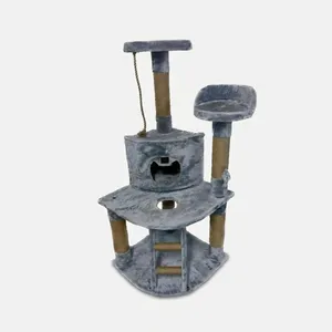 code 02 cat scratcher