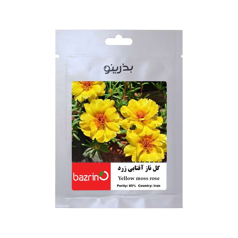 بذر گل ناز آفتابی زرد بذرینو کد BZNO-018