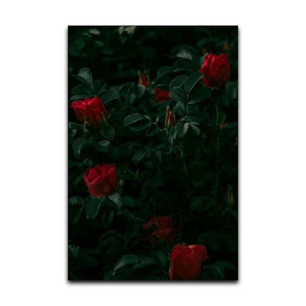 تابلو شاسی گوفی مدل طبیعت گل رز طرح Nature Rose Flower کد RED55