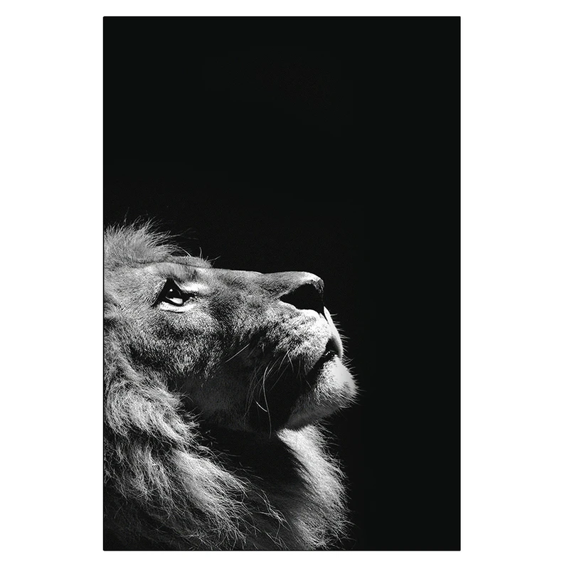 پوستر مدل فانتزی شیر Fantasy picture کد 187