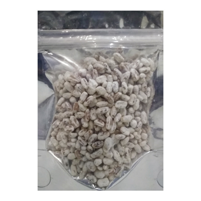 بذر قارچ صدفی کد M1