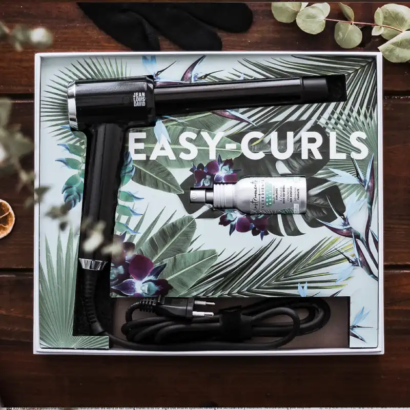 فر کننده مو ژان لوئیس دیوید مدل 1806