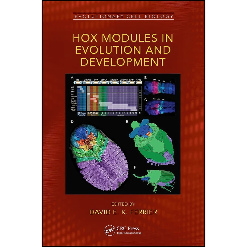 کتاب Hox Modules in Evolution and Development  اثر David E. K. Ferrier انتشارات CRC Press