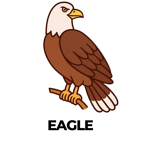 استیکر پارچه و لباس پاد آفرین طرح عقاب کد 1601