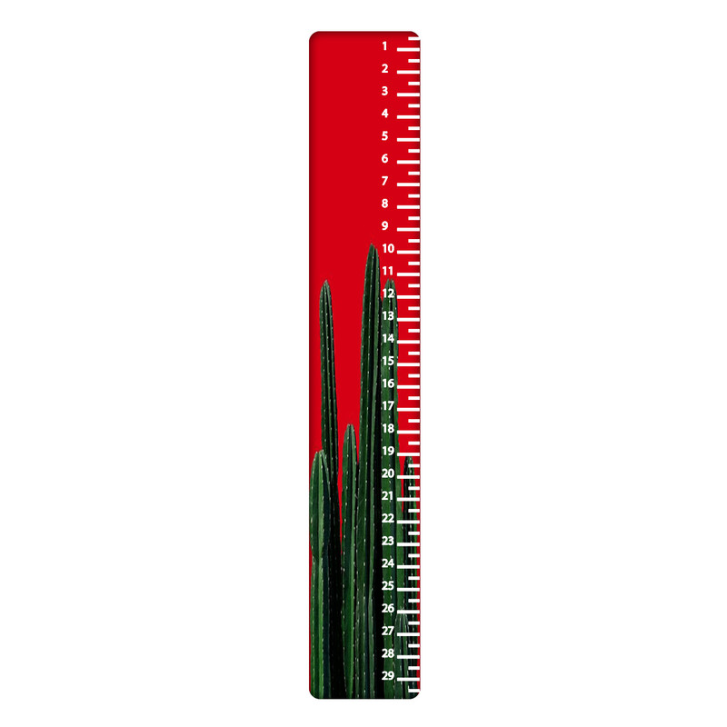 خط کش 30 سانتی متر طرح کاکتوس کد 556