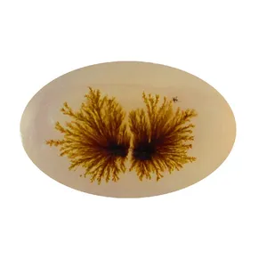 سنگ شجر پارلا گوهر کد 5133