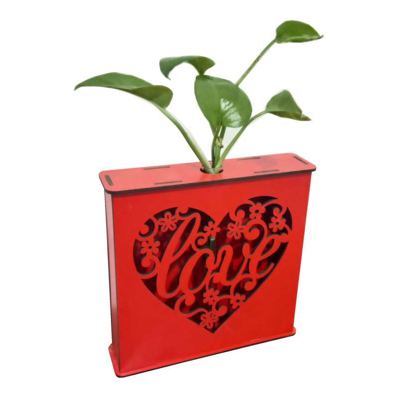 گیاه طبیعی پوتوس مدل لوله ای گیاه طبیعی پوتوس مدل لوله ای