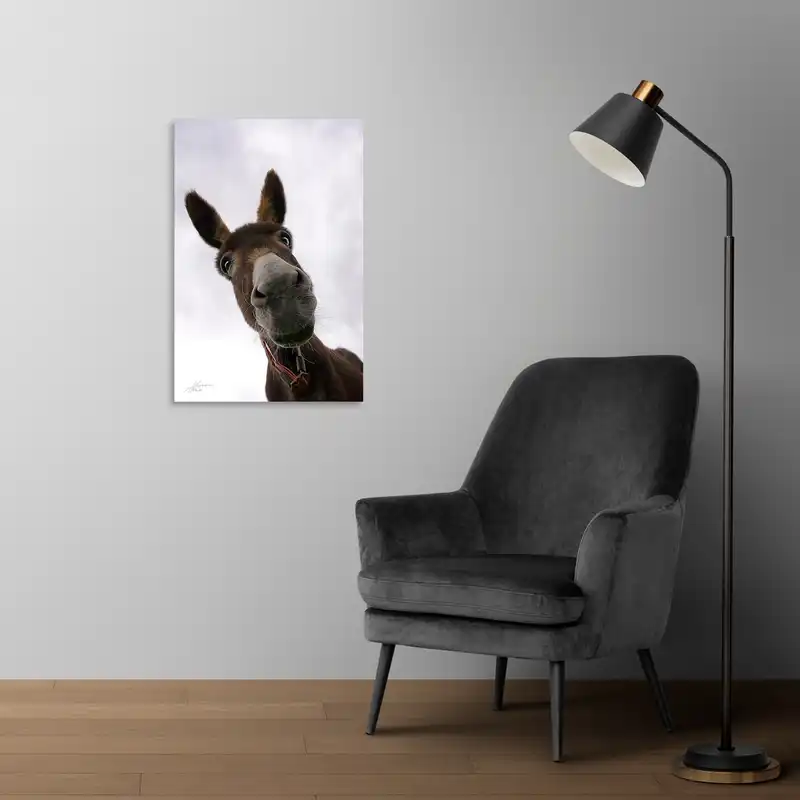 تابلو شاسی طرح خر مدل NV0028