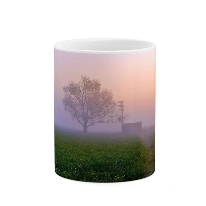 ماگ کاکتی مدل منظره کد mgh14239