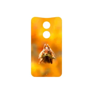 MAHOOT Squirrel Cover Sticker for Motorola Moto X 2014