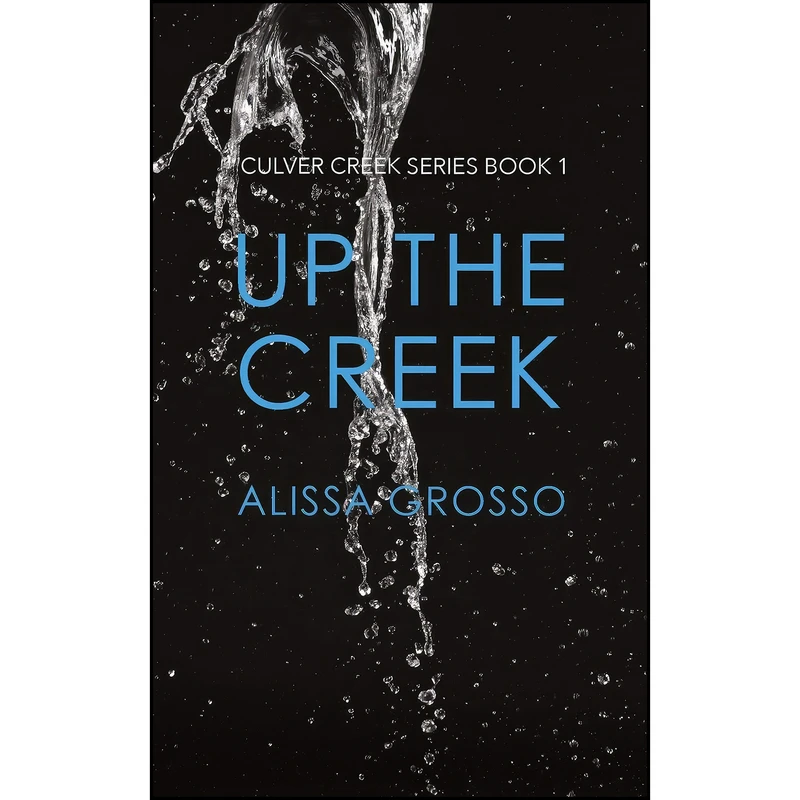 کتاب Up the Creek اثر Alissa C. Grosso انتشارات Glitter Pigeon Press