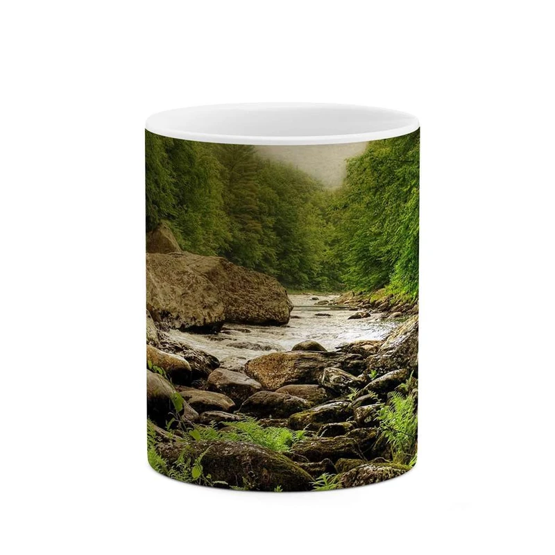 ماگ کاکتی مدل طبیعت کد mgh10702