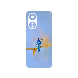MAHOOT Cyanocitta cristata Cover Sticker for Oppo A58 4G