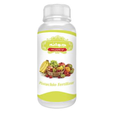 جوانه پسته را از کجا تهیه کنیم؟