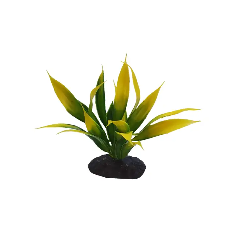 گیاه تزیینی آکواریوم مدل کریپتون  T2