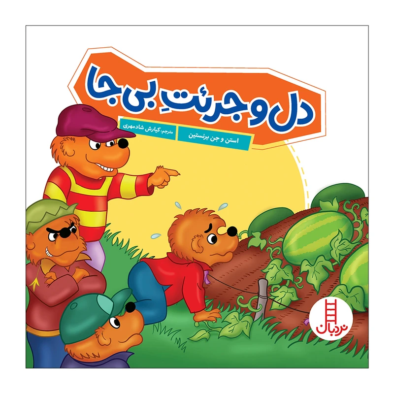 کتاب دل و جرئت بی جا اثر استن و جن برنستین انتشارات فنی ایران 