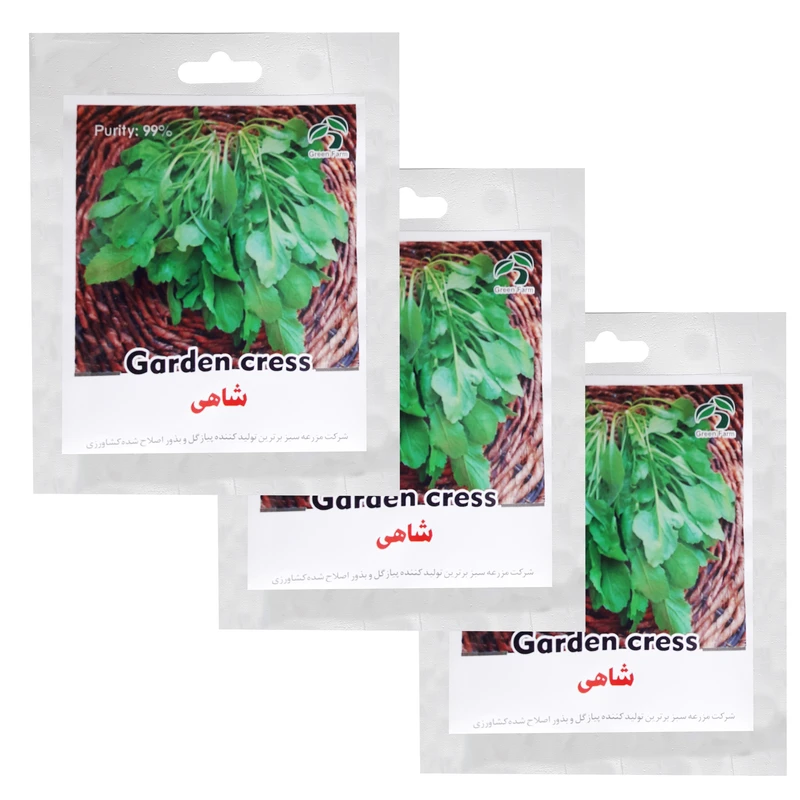 بذر شاهی گرین فارم کد SHGR-2 بسته 3 عددی