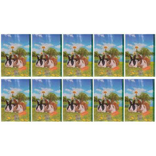 طلق و شیرازه طرح خرگوش کد 023 بسته 10 عددی