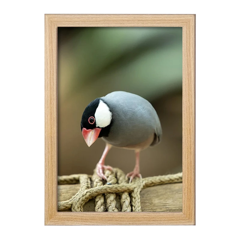 تابلو خندالو مدل پرنده کد F1261