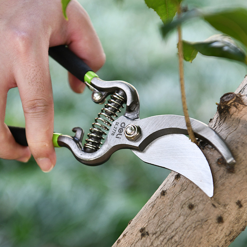 قیچی باغبانی دلی مدل DL2778 سایز 8 اینچ