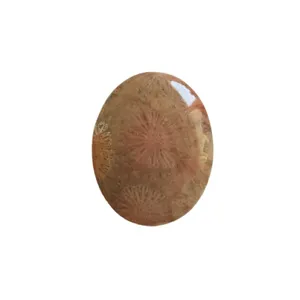 سنگ مرجانی کد 006