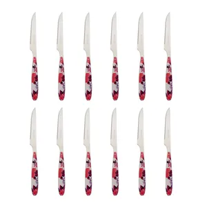  کارد میوه خوری کرون مستر کد3-CRM بسته 12 عددی