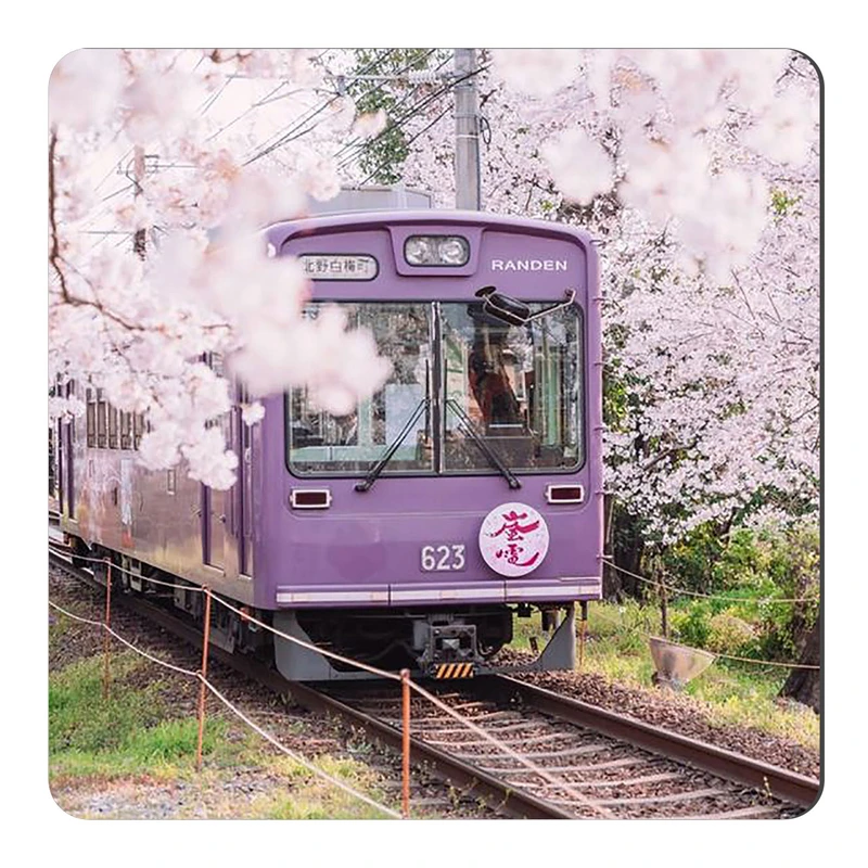 	 مگنت طرح قطار و شکوفه های بهاری کد wmg4196