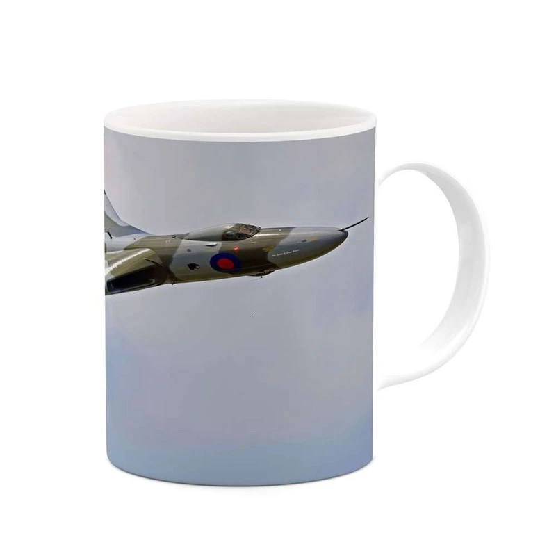 ماگ کاکتی مدل هواپیمای جنگنده کد mgh10669