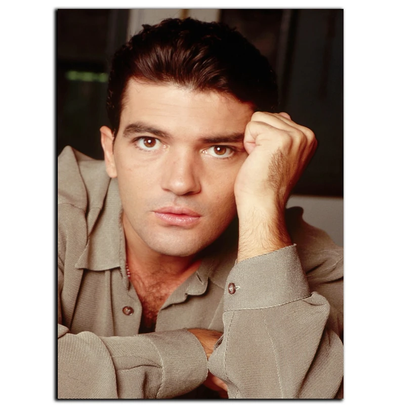 تابلو شاسی بکلیت طرح بازیگر آنتونیو باندراس مدل SH-S619