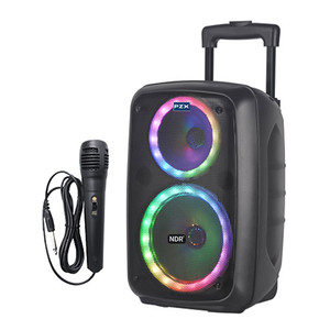 اسپیکر بلوتوثی قابل حمل پی زد ایکس مدل NDR-2680
