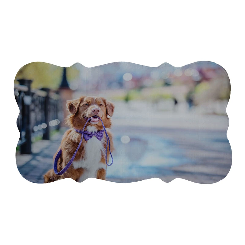 پادری مدل دالبر طرح سگ کد 6206 سایز 110×60 سانتی متر