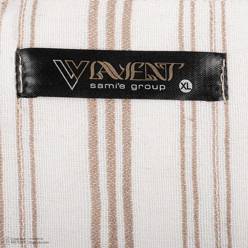 شومیز آستین بلند زنانه لوینت مدل آناشید