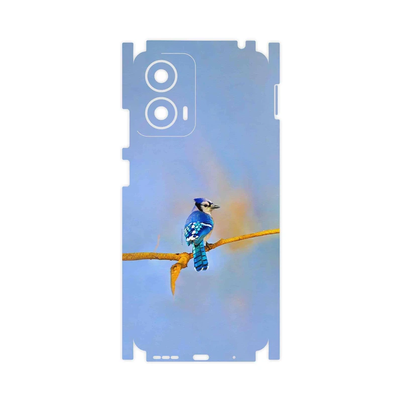 برچسب پوششی ماهوت مدل Cyanocitta cristata-FullSkin مناسب برای گوشی موبایل موتورولا Moto G24