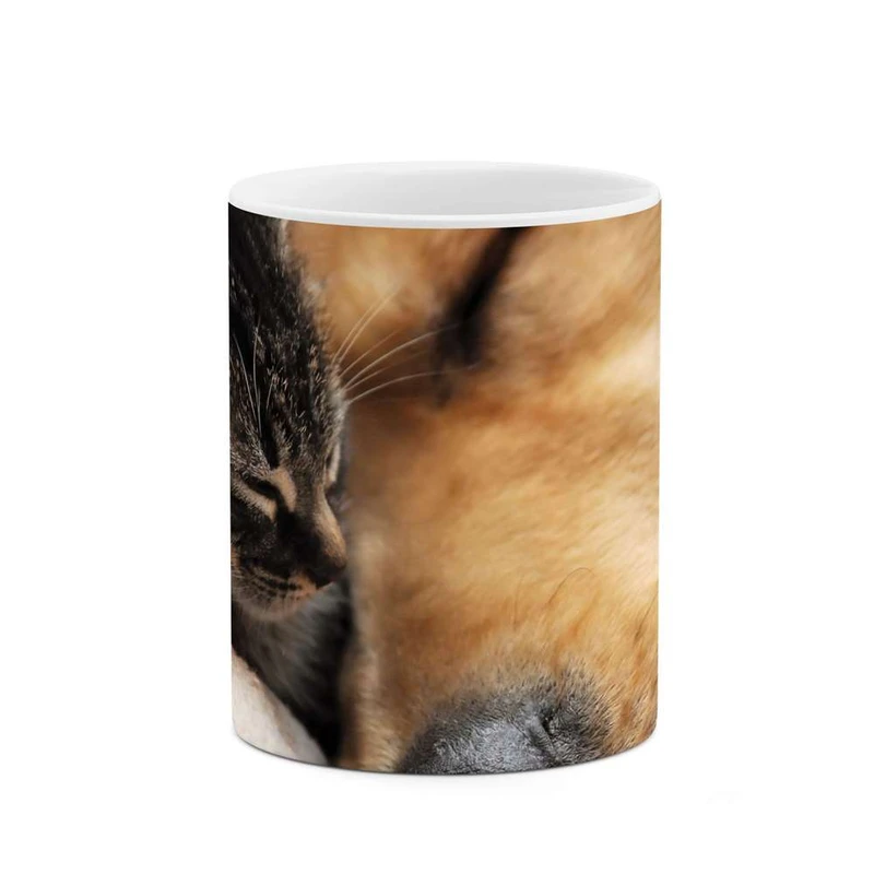 ماگ کاکتی مدل سگ و گربه کد mgh10106