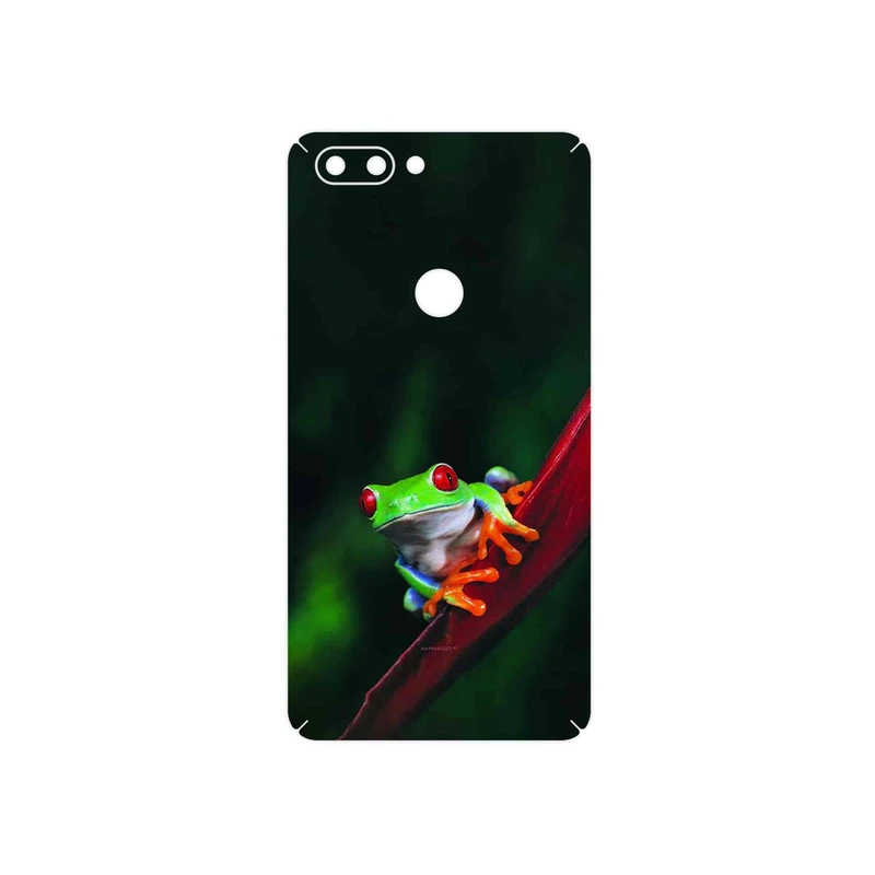 برچسب پوششی ماهوت مدل Frog مناسب برای گوشی موبایل تکنو Phantom 8
