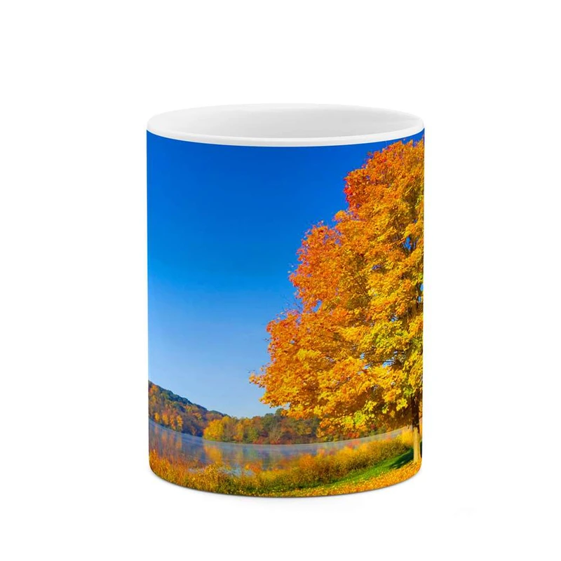 ماگ کاکتی مدل منظره کد mgh10840