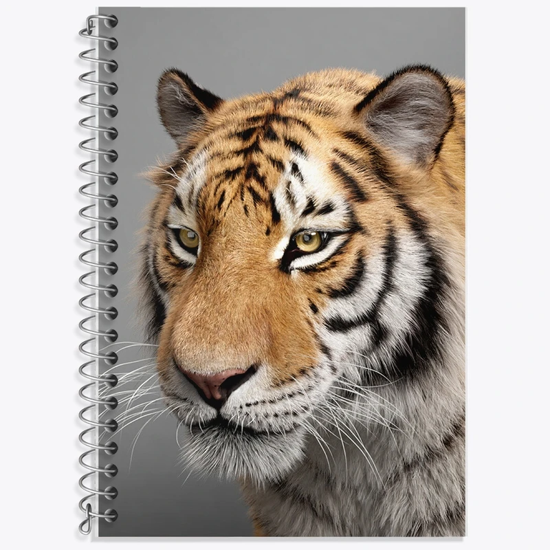 دفتر زبان 50 برگ خندالو مدل دو خط طرح ببر کد F587