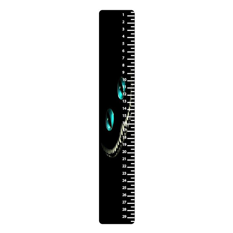 خط کش 30 سانتی متر طرح ماسک  کد 683