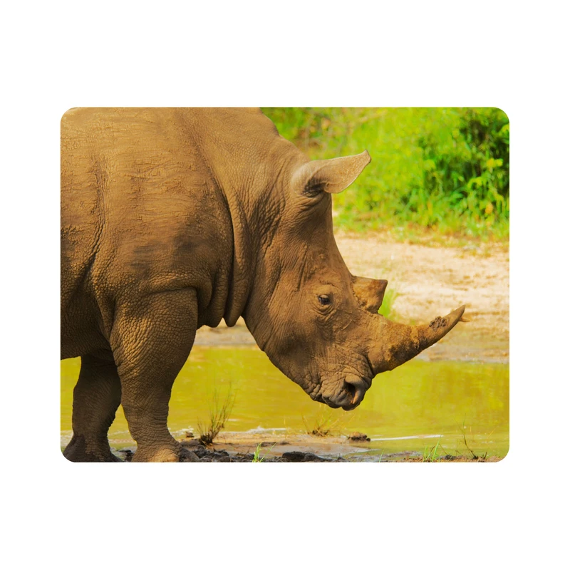 ماوس پد اطلس آبی طرح دریاچه و کرگدن مدل T1962