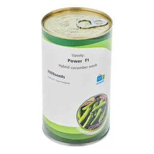 بذر خیار رونستو مدل Power f1 وزن 100 گرم بسته 2500 عددی
