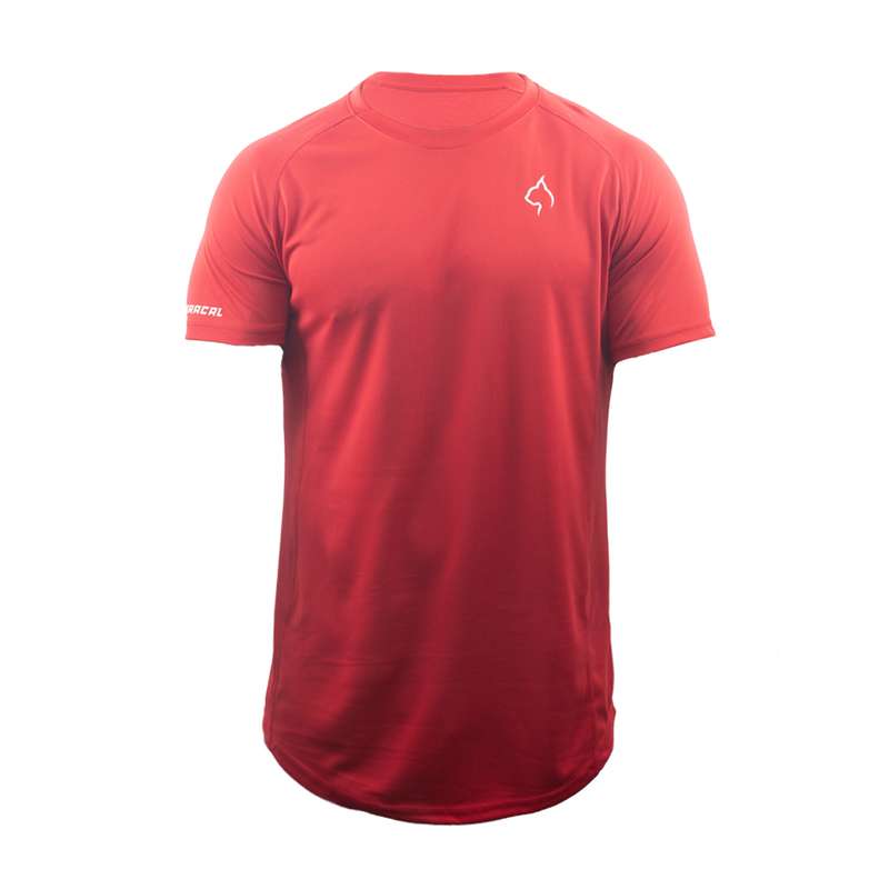 تی شرت ورزشی مردانه مدل بیسیک رنگ قرمز